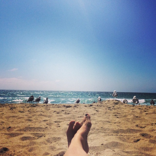 Francesca Santoro Feet ⭐Celeb Feet