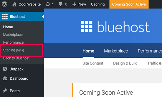 Sitio web provisional de Bluehost