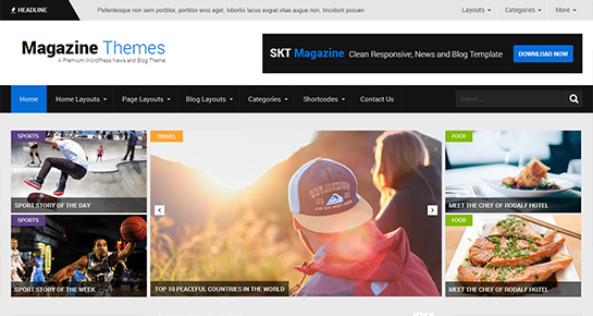 Revista de temas de WordPress