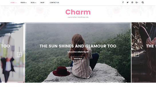 Tema de blog de WordPress
