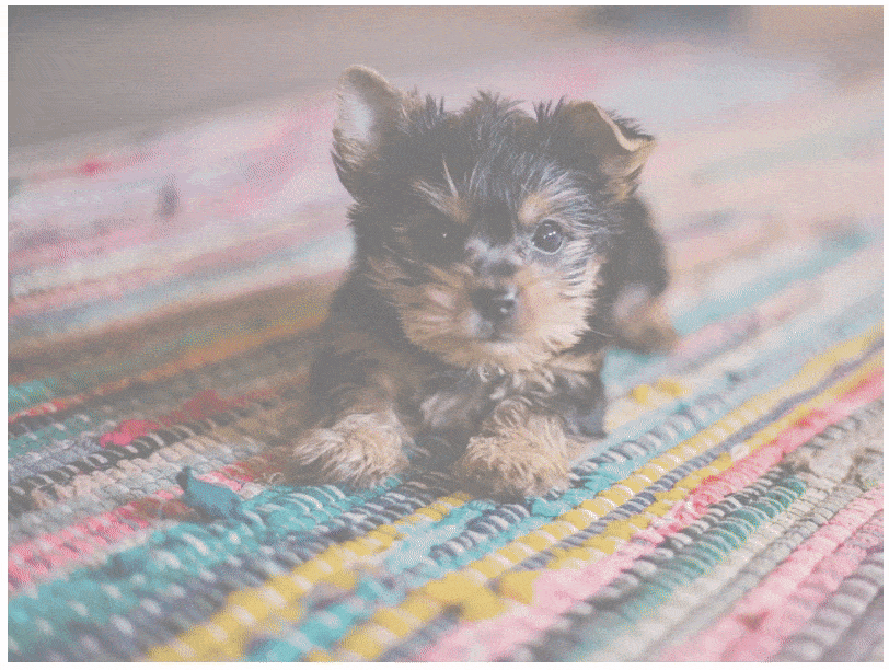 ejemplo de una transición con CSS que se desvanece al pasar el mouse