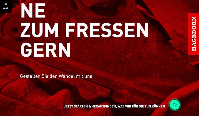 ejemplo de sitio web de folleto: Hagedorn