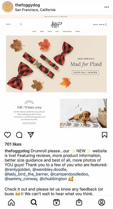 Publicación de Instagram Foggy Dog promocionando el nuevo sitio web