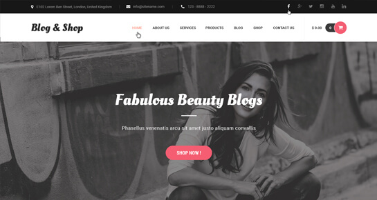 Blog de la tienda de temas de WordPress