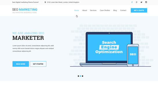 Tema SEO de WordPress