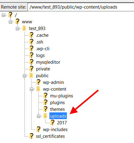 Carpeta que se carga en el directorio wp-content FileZilla