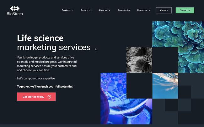 Ejemplo de sitio web de cms hub: La página de inicio de BioStrata contiene imágenes abstractas y animaciones