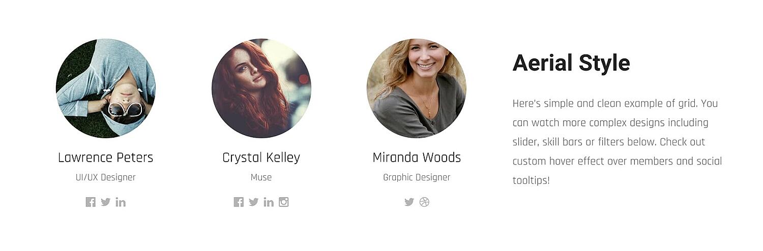 página de producto para wordpress Team Builder plugin