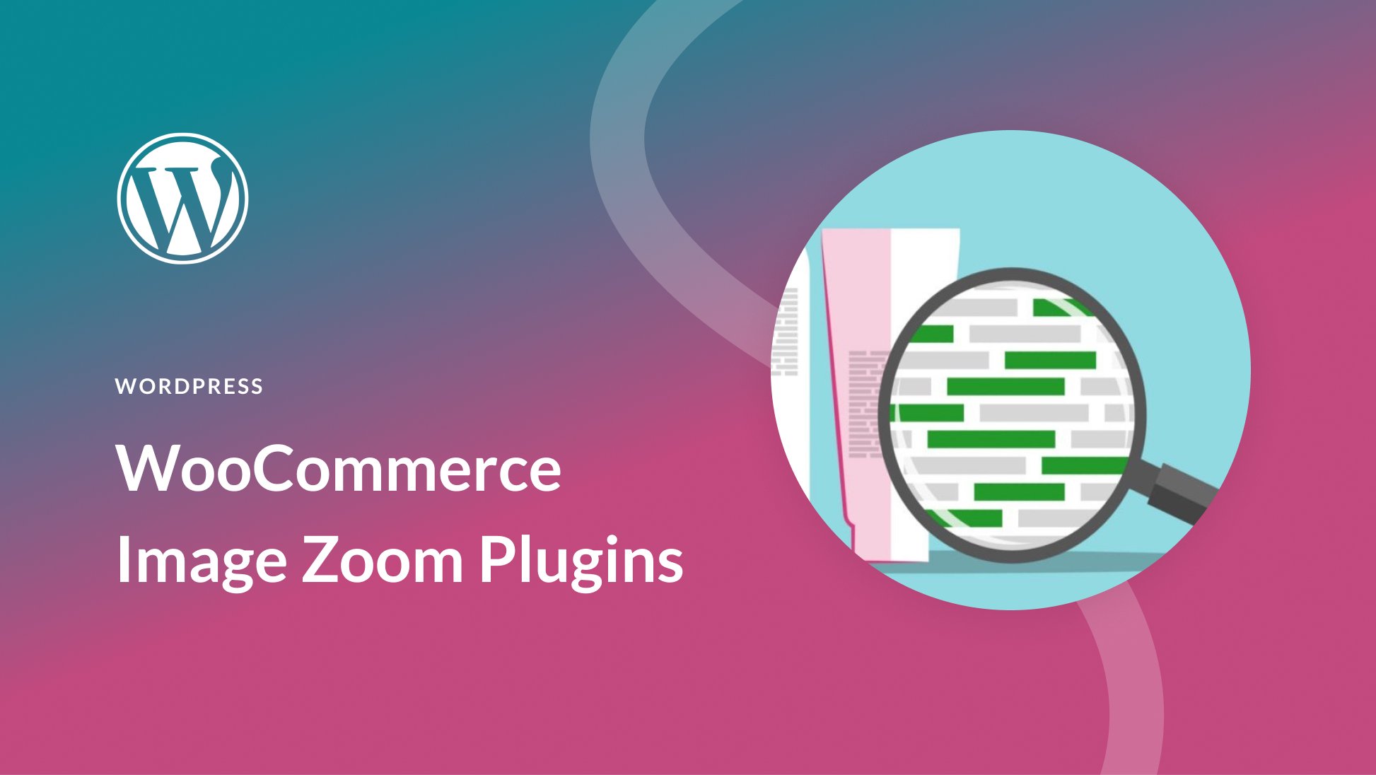 Featured-Image-zoom-plugin.jpg