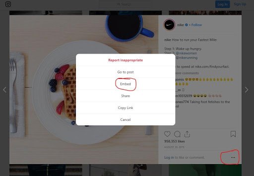 Mostrar fotos de Instagram en una publicación de WordPress