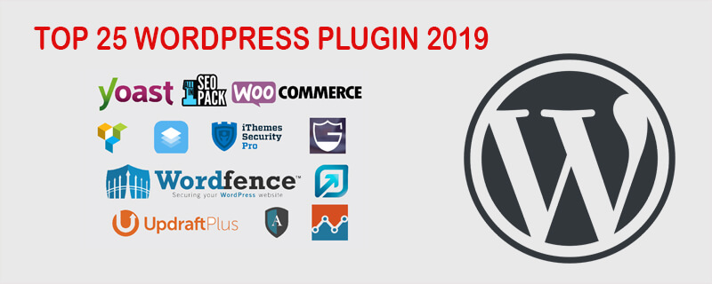 Instala los complementos necesarios