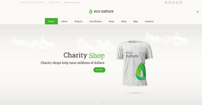 los mejores temas ecológicos de wordpress: demostración de Eco Nature que muestra una tienda benéfica