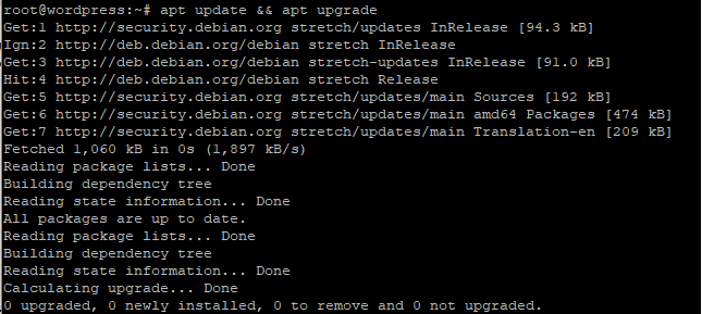 actualización apt y actualización precisa