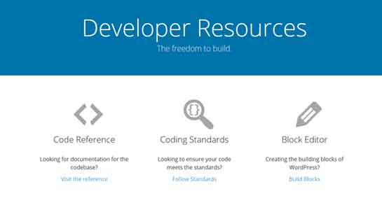 manual de desarrollador de wordpress