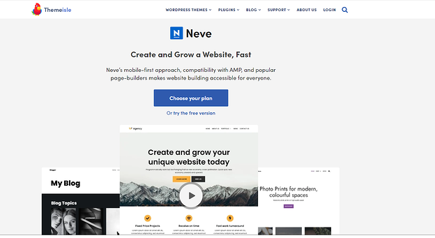 Neve tema de WordPress