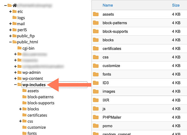 Comprobación de la versión de wordpress: versión wpincludes
