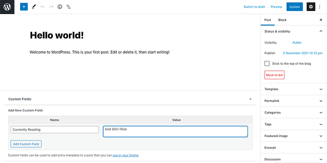 Cómo usar campos personalizados en WordPress: complete los campos de texto para nombres y valores