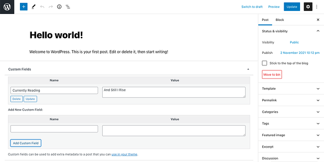 Cómo usar campos personalizados en WordPress: haga clic en actualizar