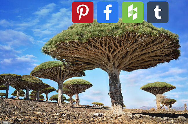Complemento para compartir imágenes de WordPress: AddToAny Share Buttons