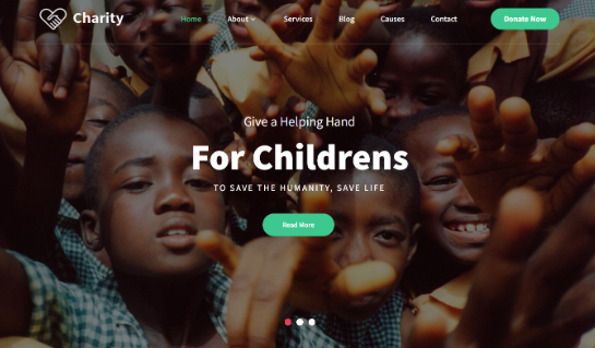 Organización de Caridad