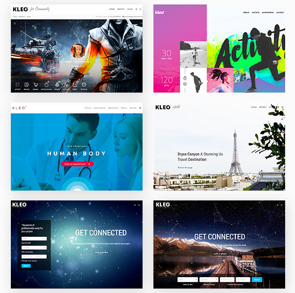 Mejor tema de WordPress para diseño de materiales: KLEO