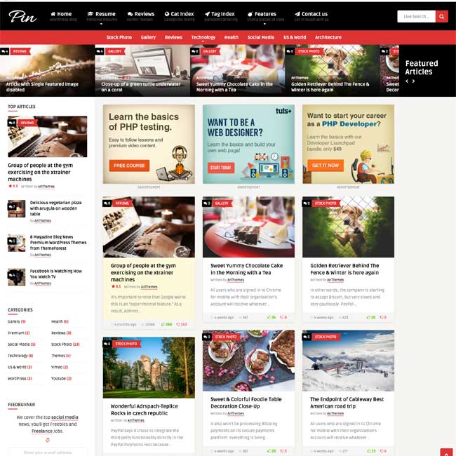 Pin-WordPress-Tema