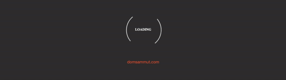 css loading animation: cargando el spinner con texto animado de muestra
