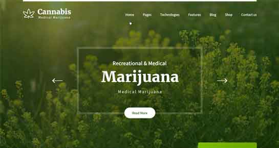 Tema de marihuana de WordPress