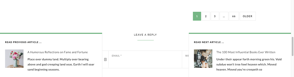 Entrada siguiente Complemento de WordPress Fly Box