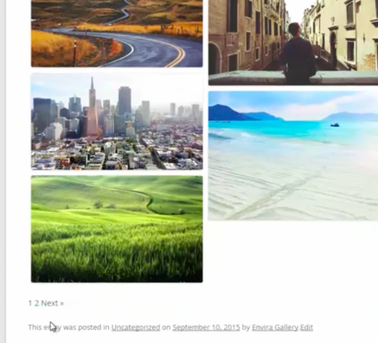 Complemento de paginación de WordPress de Envira Gallery