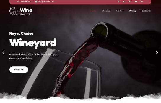 vino nuevo profesional
