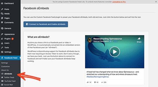 facebook oembed