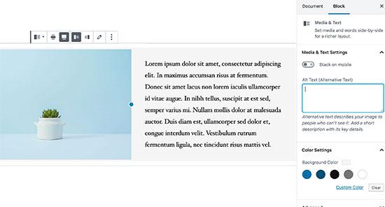 Imágenes de WordPress en el editor