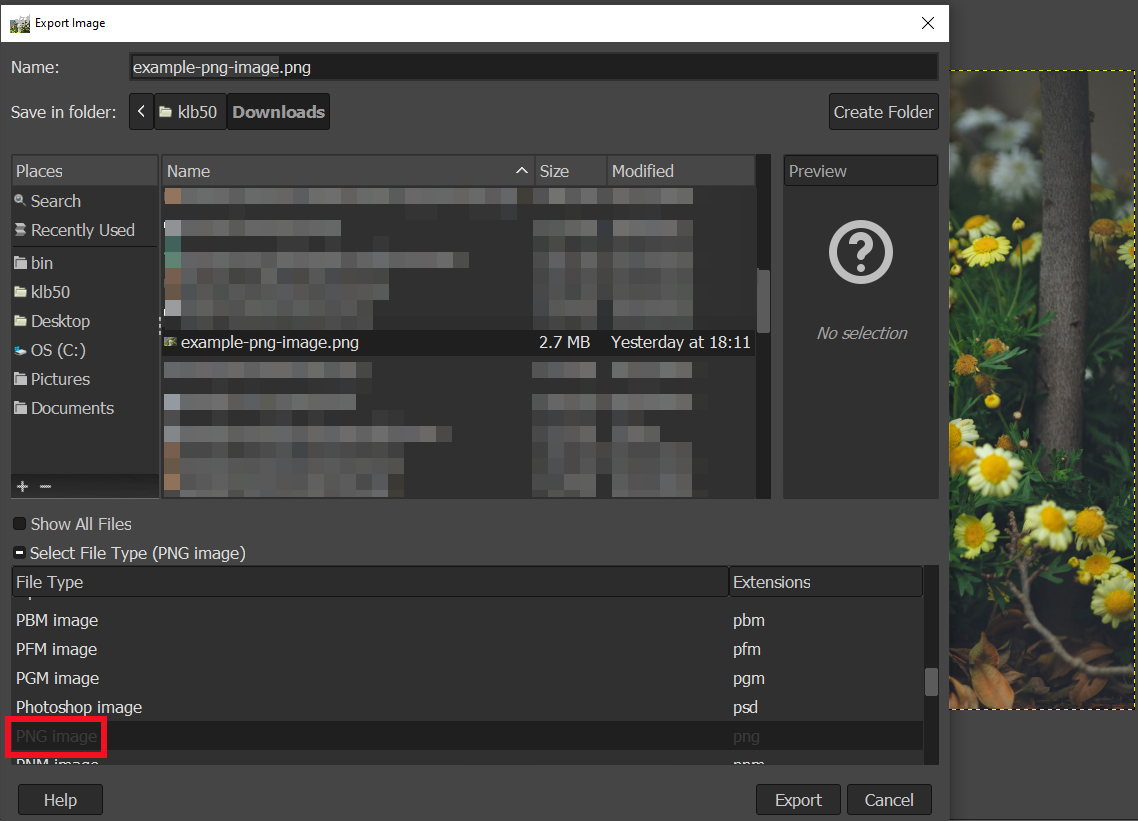 Guarda una imagen como PNG. 