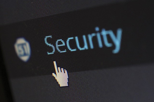 temas seguros de WordPress