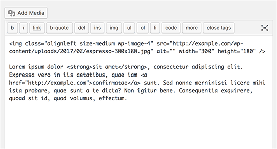 Editor HTML de WordPress