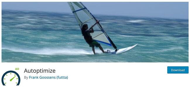 página de descarga para wordpress google fonts complemento de optimización automática