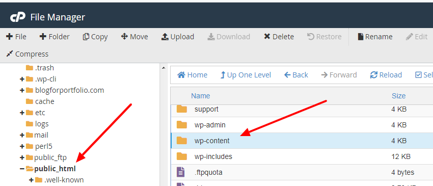 Usuario navegando a la carpeta wp-content en el cPanel del proveedor de alojamiento de WordPress