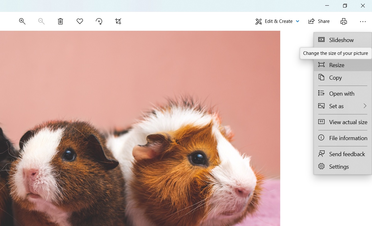 Cambiar el tamaño de las imágenes en Microsoft Photos