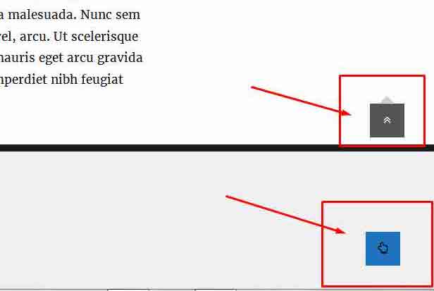 Volver a los estilos de botón superior para el complemento Click to top para WordPress-1