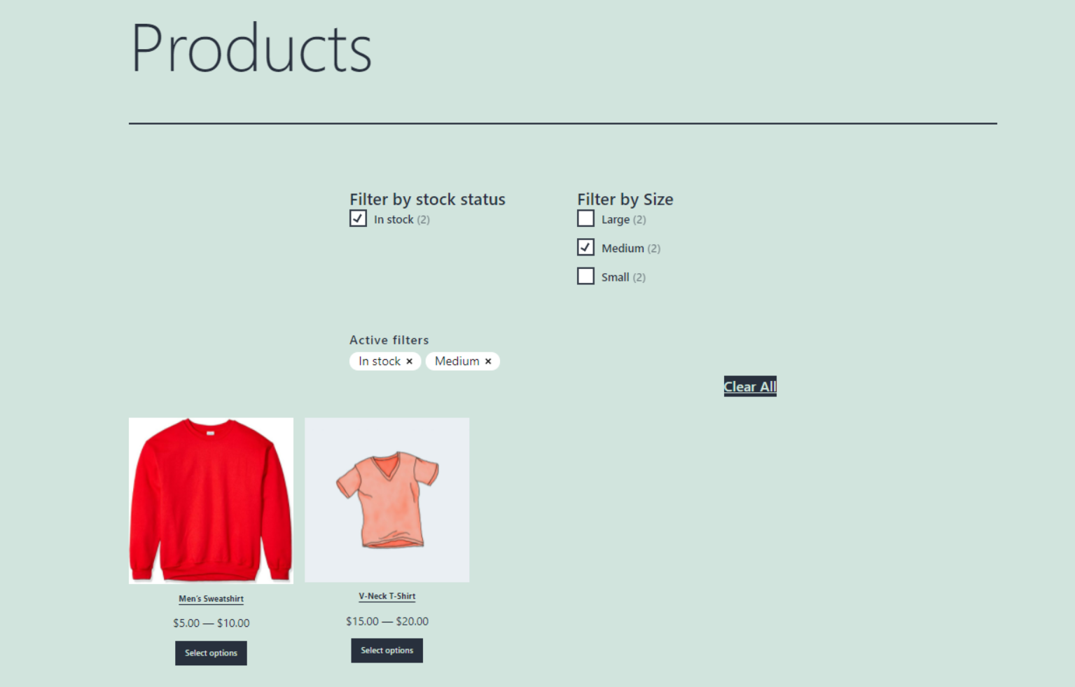 Tienda WooCommerce con filtros aplicados.