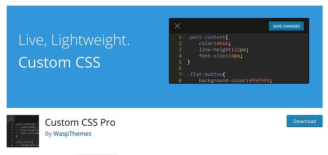 Descargar un complemento CSS Pro personalizado para WordPress 