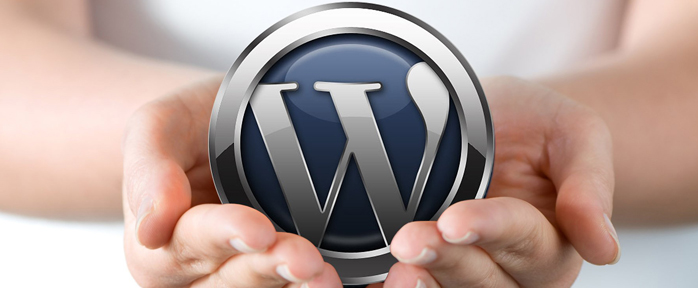 Características del tema de WordPress