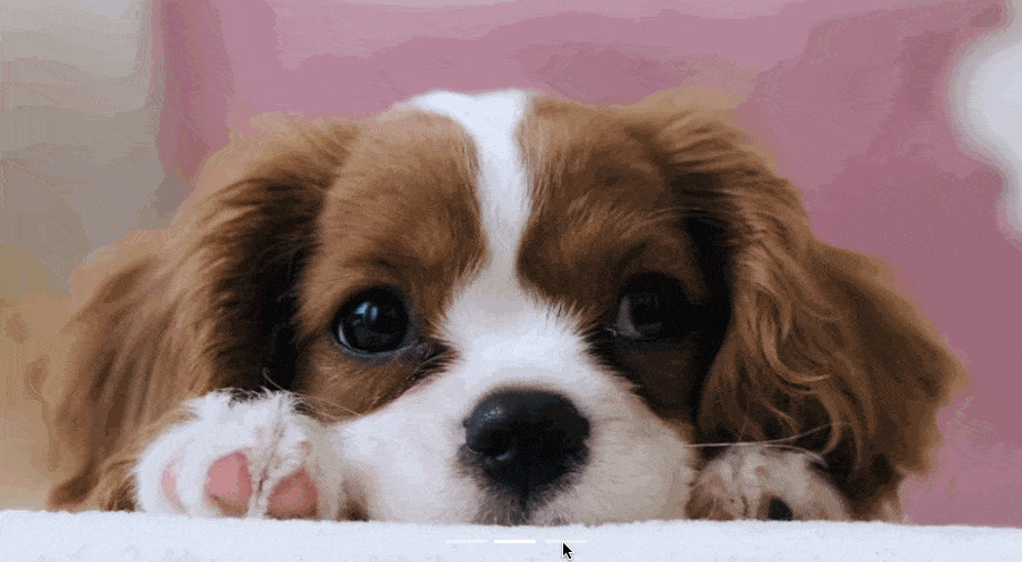 Carrusel de imágenes construido con Bootstrap CSS que contiene tres fotos de cachorros