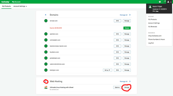 Menú de dominios de GoDaddy para administrar y transferir dominios