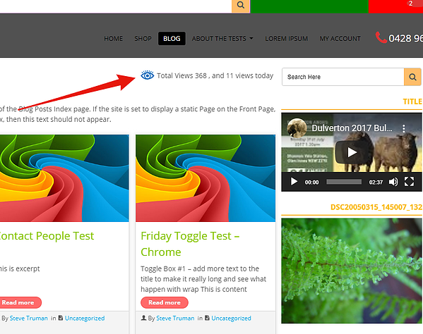 Ejemplo de página de WordPress con vistas totales mostradas a los visitantes del sitio
