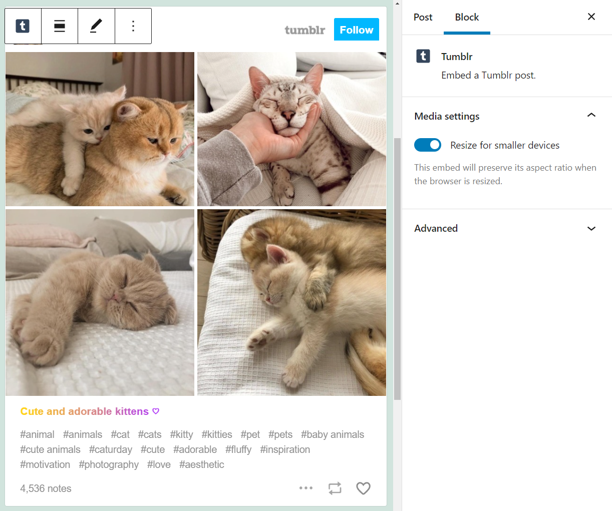 Publicación de Tumblr incorporada en WordPress