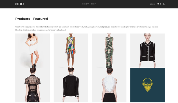 tema de wordpress de comercio electrónico de themeisle neto