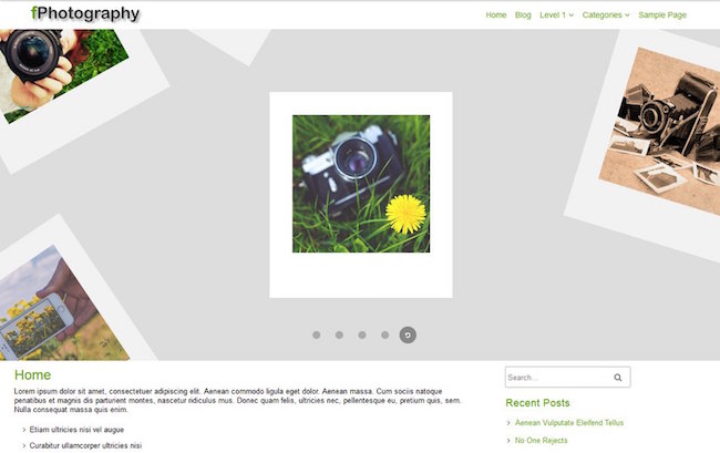Tema Responsivo de WordPress fPhotography
