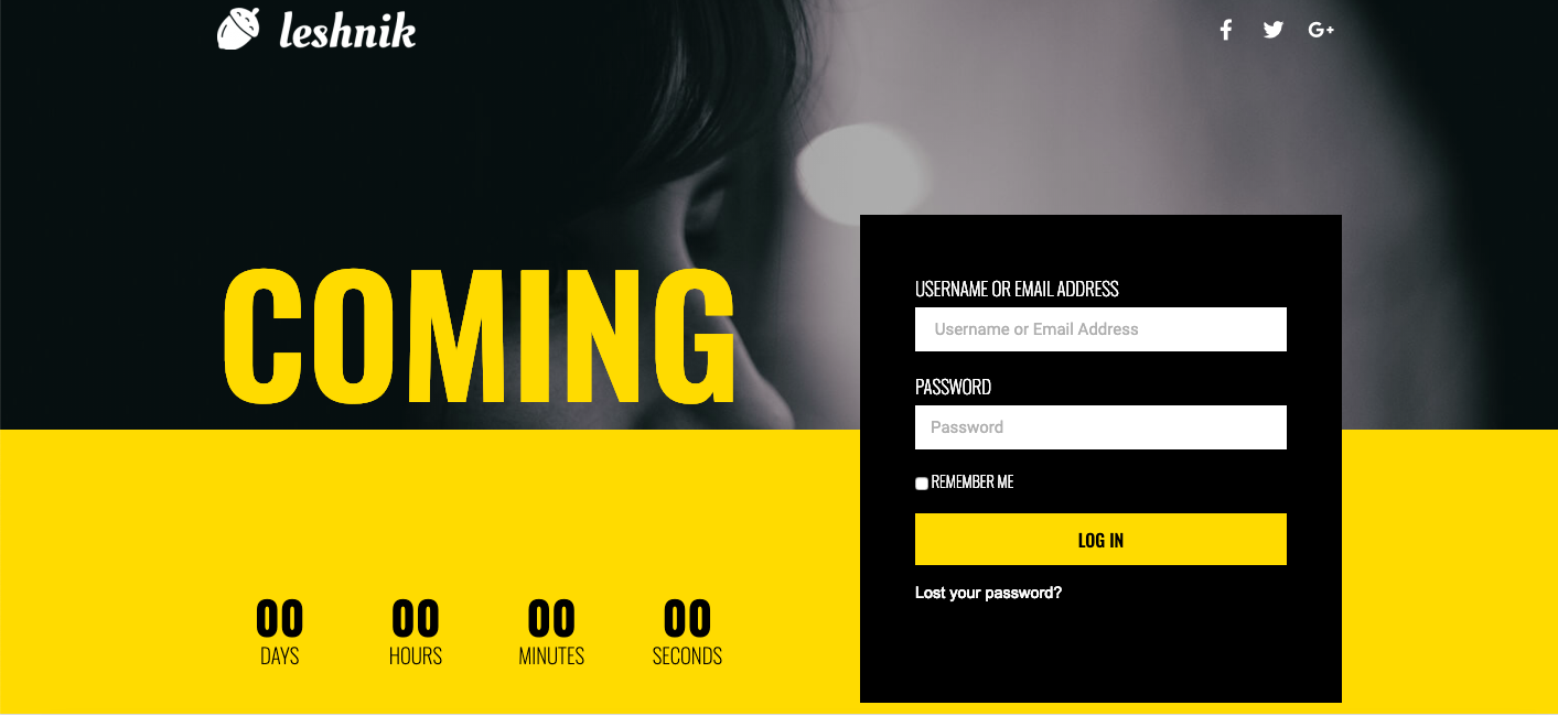 Una plantilla prediseñada disponible con el widget de inicio de sesión premium de WordPress de Elementor